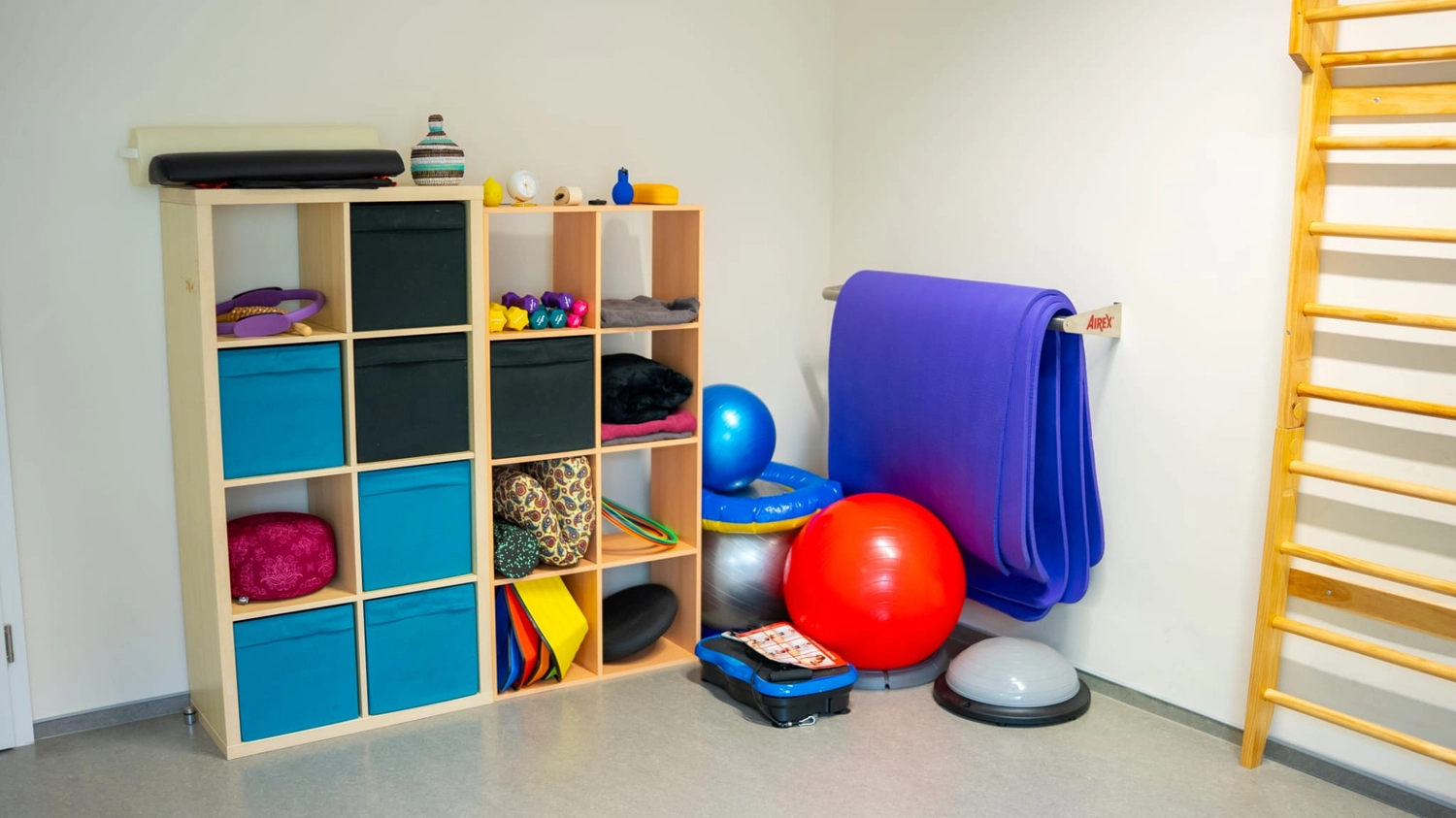 Physiotherapie Balance - Physiotherapie - Ein gut organisierter Physiotherapie- oder Fitnessraum mit Aufbewahrungsfächern voller bunter Matten, Bälle und Trainingszubehör neben großen Stabilitätsbällen und einer an der Wand befestigten Holzleiter.